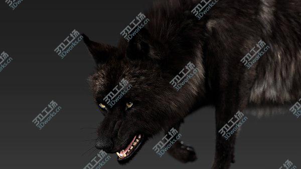 images/goods_img/20210312/Black Timber Wolf (Fur) Rigged model/4.jpg